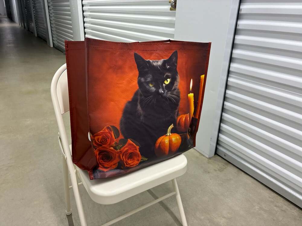 Autumn Halloween Black Cat and Pumpkins Reusable Tote Bag